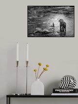 slavery Poster och Canvastavla