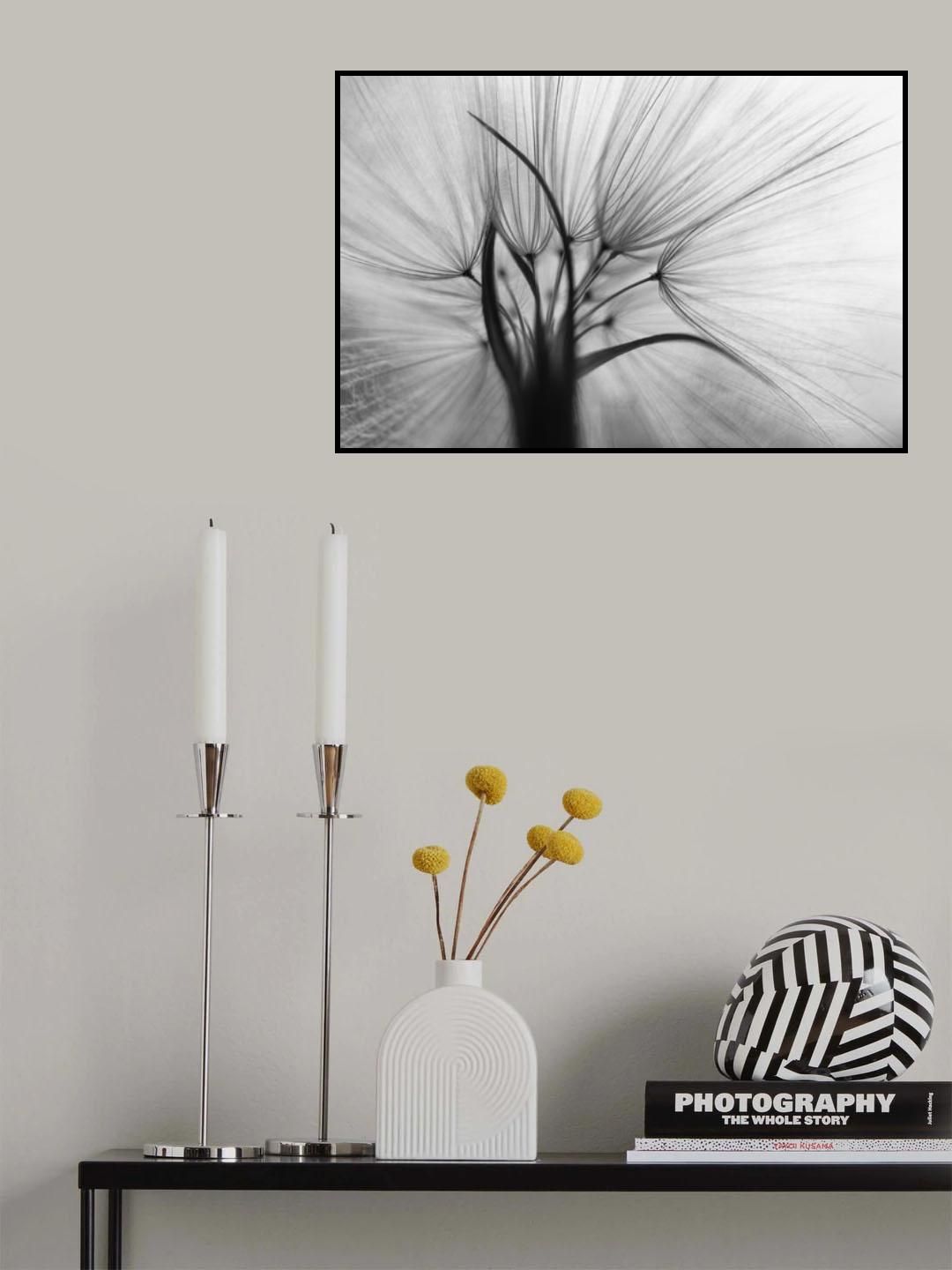 Shine Poster och Canvastavla