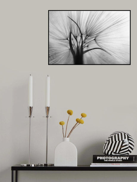 Shine Poster och Canvastavla