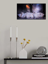 Butterflies Poster och Canvastavla