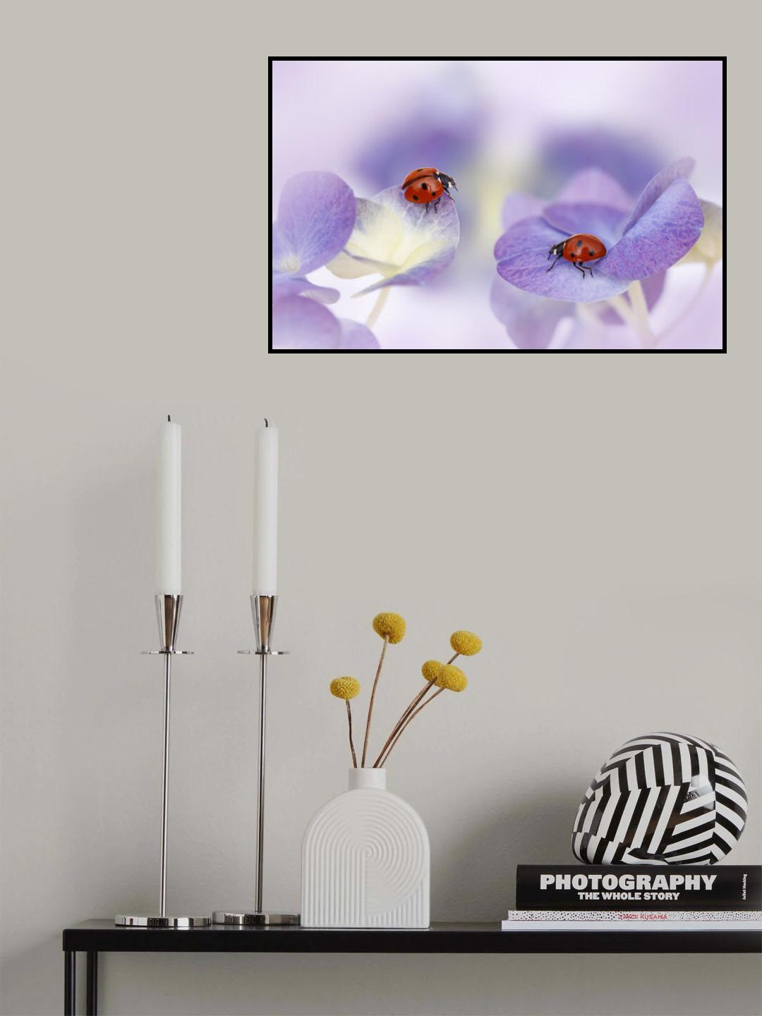 Red and purple Poster och Canvastavla