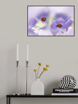 Red and purple Poster och Canvastavla