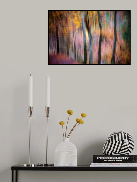 Forest in Autumn Poster och Canvastavla