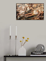 Catch Poster och Canvastavla