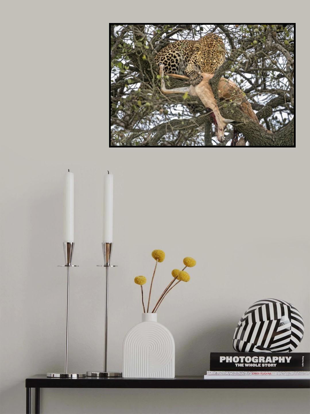 Leopard with prey Poster och Canvastavla