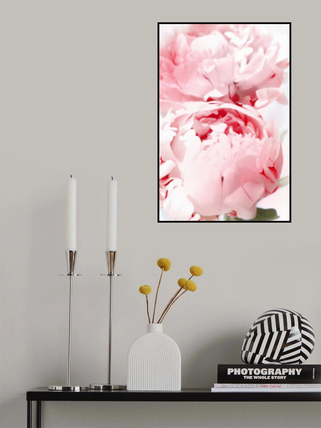 Bllush peony X Poster och Canvastavla