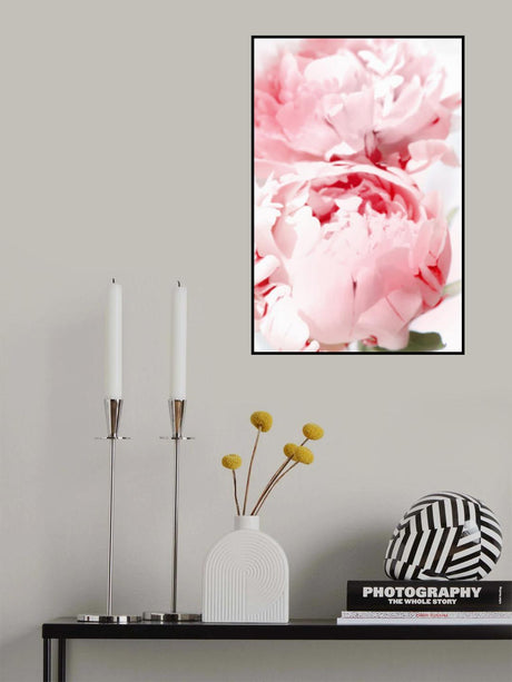 Bllush peony X Poster och Canvastavla