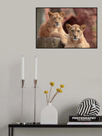 SISTERS Poster och Canvastavla