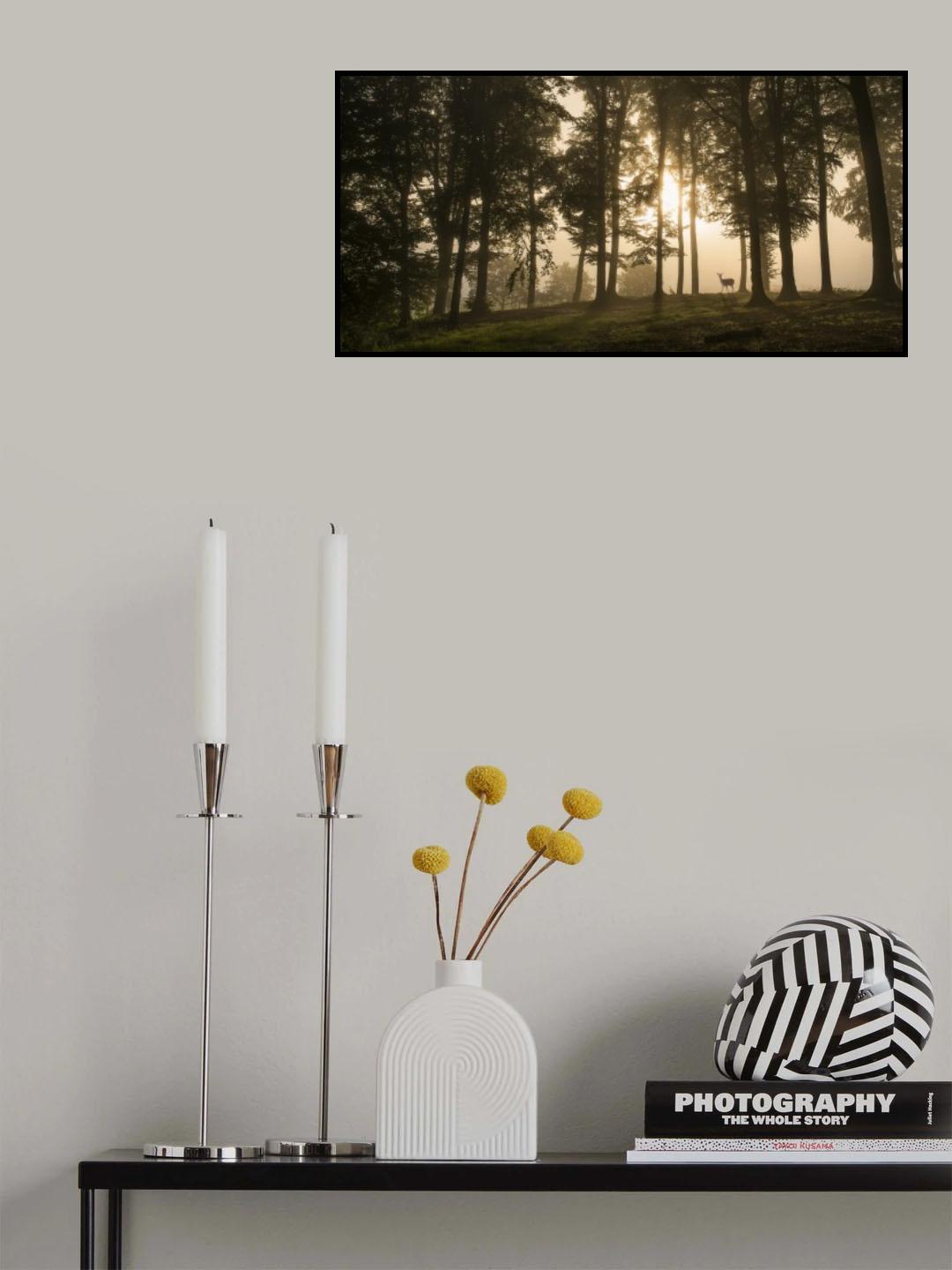 Deer in the morning mist. Poster och Canvastavla