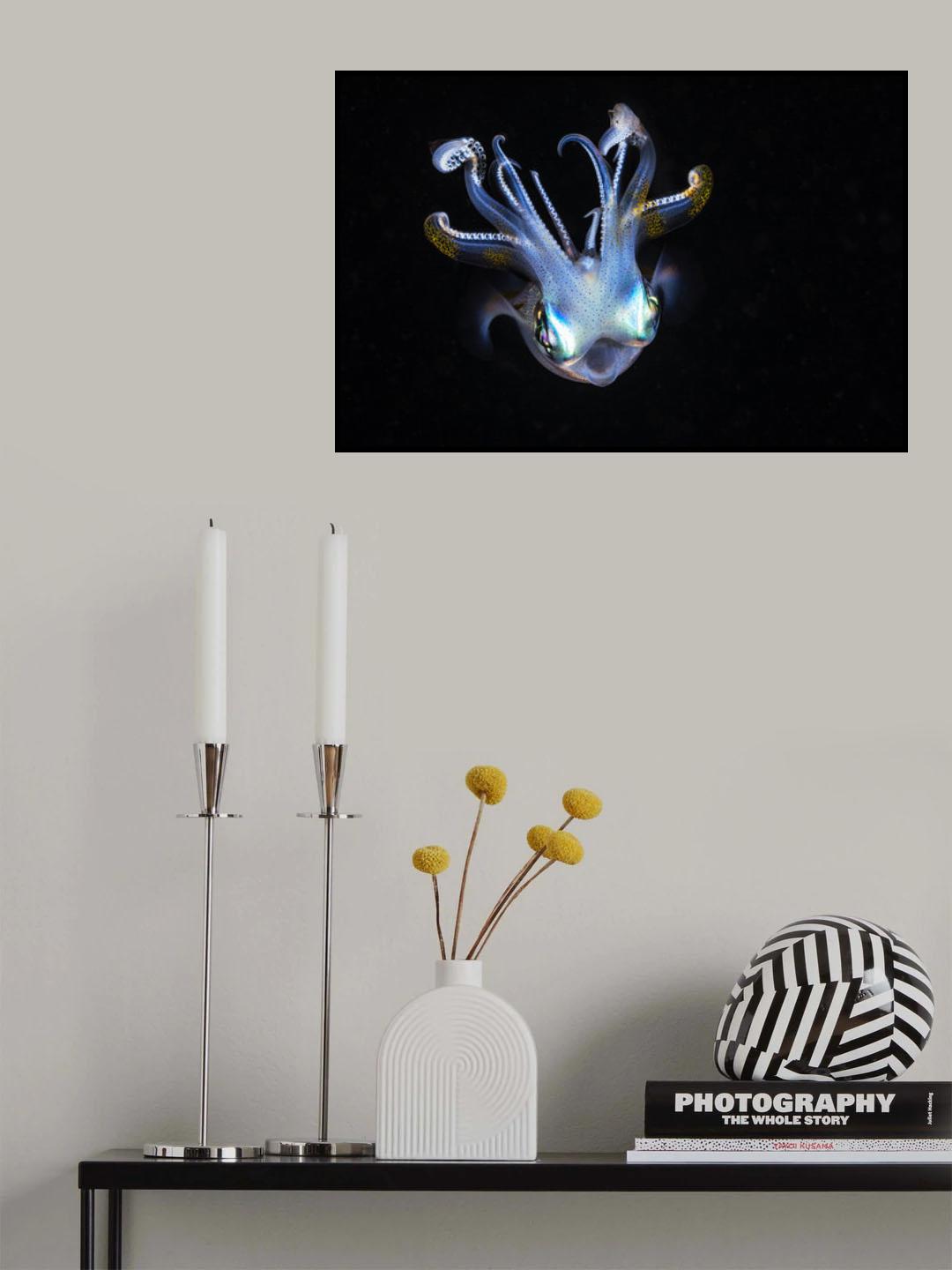 Squid like a ghost Poster och Canvastavla