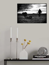 Poster och Canvastavla