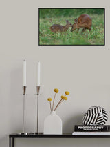 Poster och Canvastavla