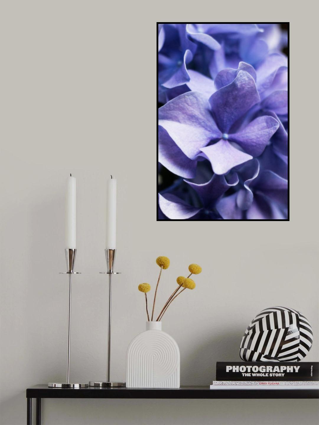 Isn't she lovely - Lilac Hydrangea Poster och Canvastavla