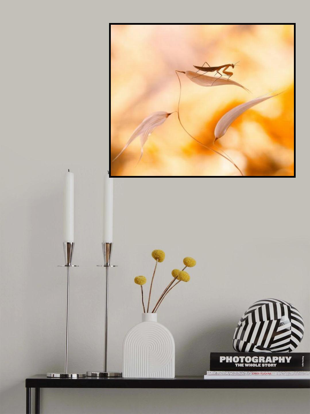 Amazon... Poster och Canvastavla
