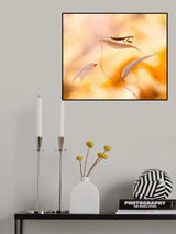 Amazon... Poster och Canvastavla