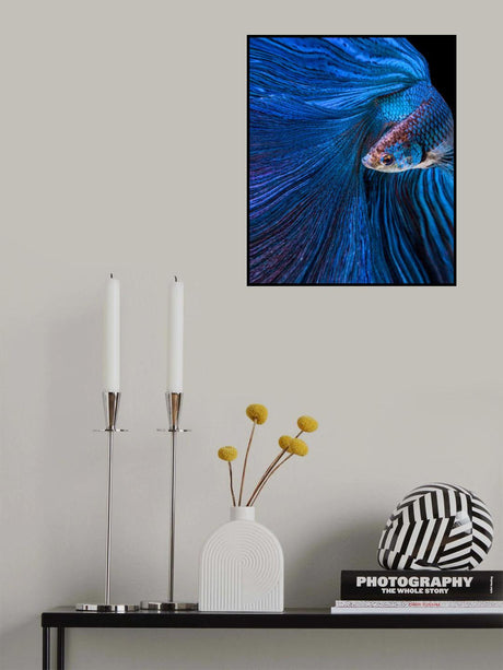 Blue Moon Poster och Canvastavla
