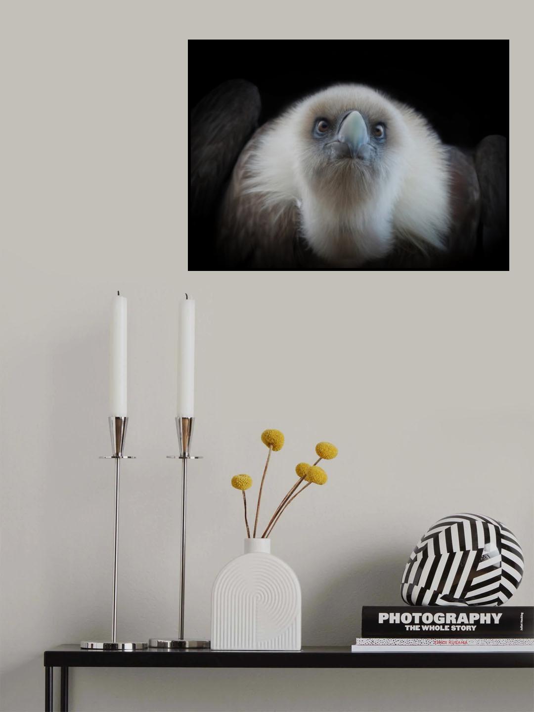 Focus... Poster och Canvastavla