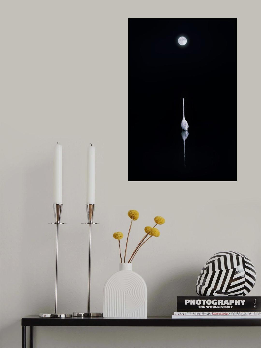 Beauty under Moon Poster och Canvastavla