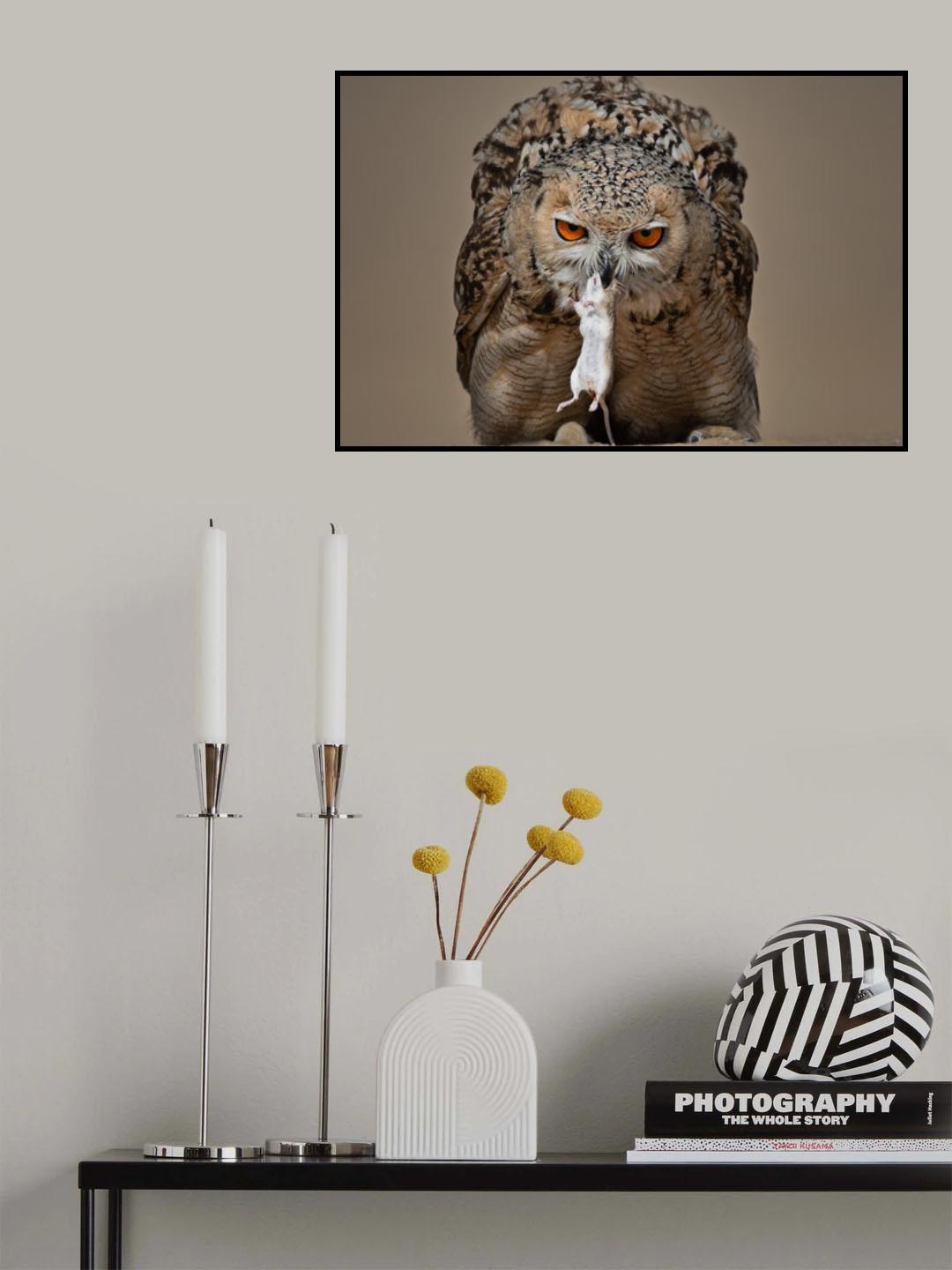 Pharaoh Eagle Owl Poster och Canvastavla