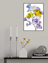Ginko biloba 1 Poster och Canvastavla