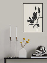 Line art lillies in black Poster och Canvastavla