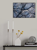 The traces Poster och Canvastavla
