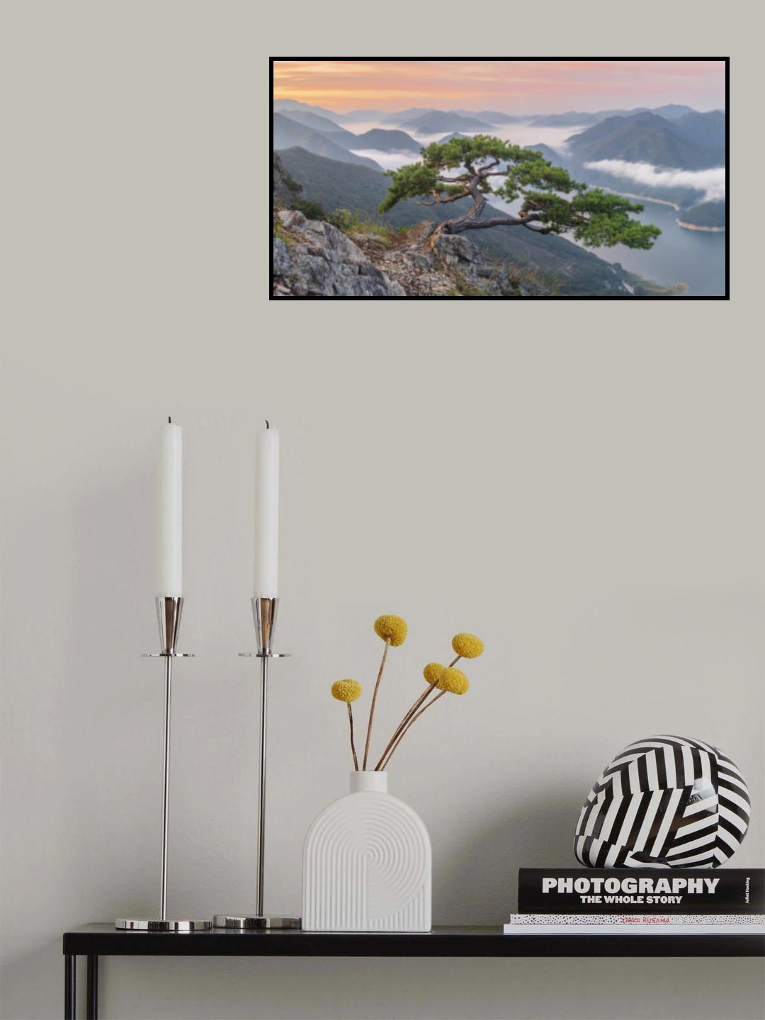 Celebrity tree Poster och Canvastavla