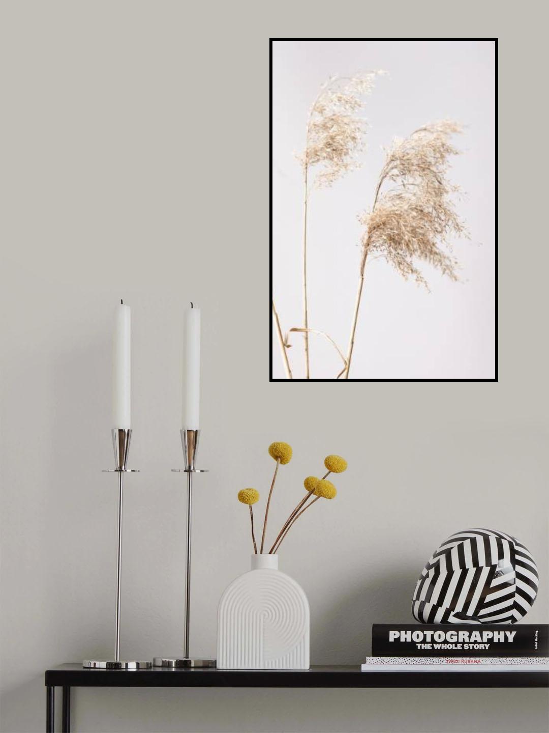 Reed Grass Grey  01 Poster och Canvastavla