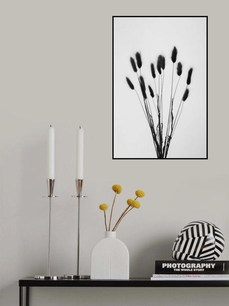 Bunny Grass No 2 Poster och Canvastavla