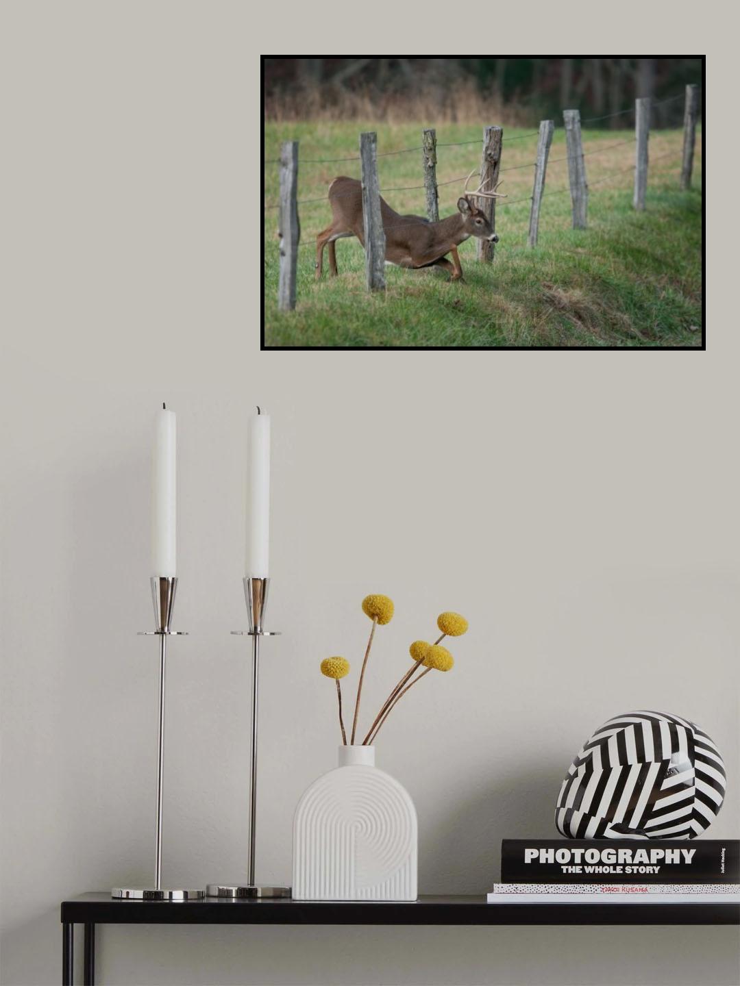 Easy Way Over Poster och Canvastavla
