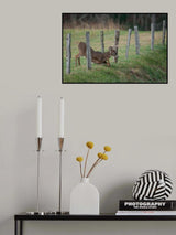 Easy Way Over Poster och Canvastavla