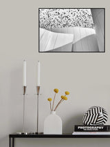 Birds Poster och Canvastavla
