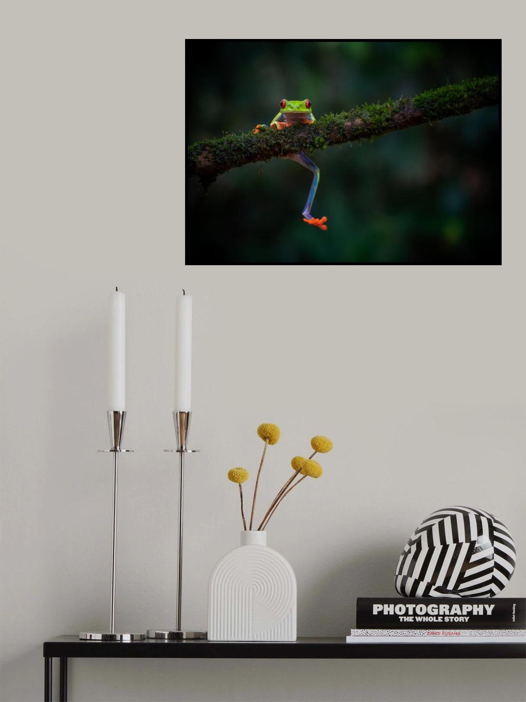 Climbing frog Poster och Canvastavla