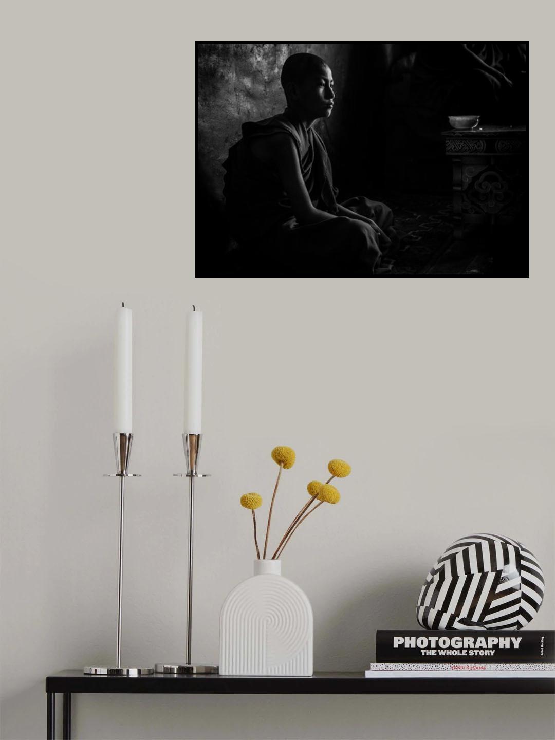 Novice in the dark Poster och Canvastavla