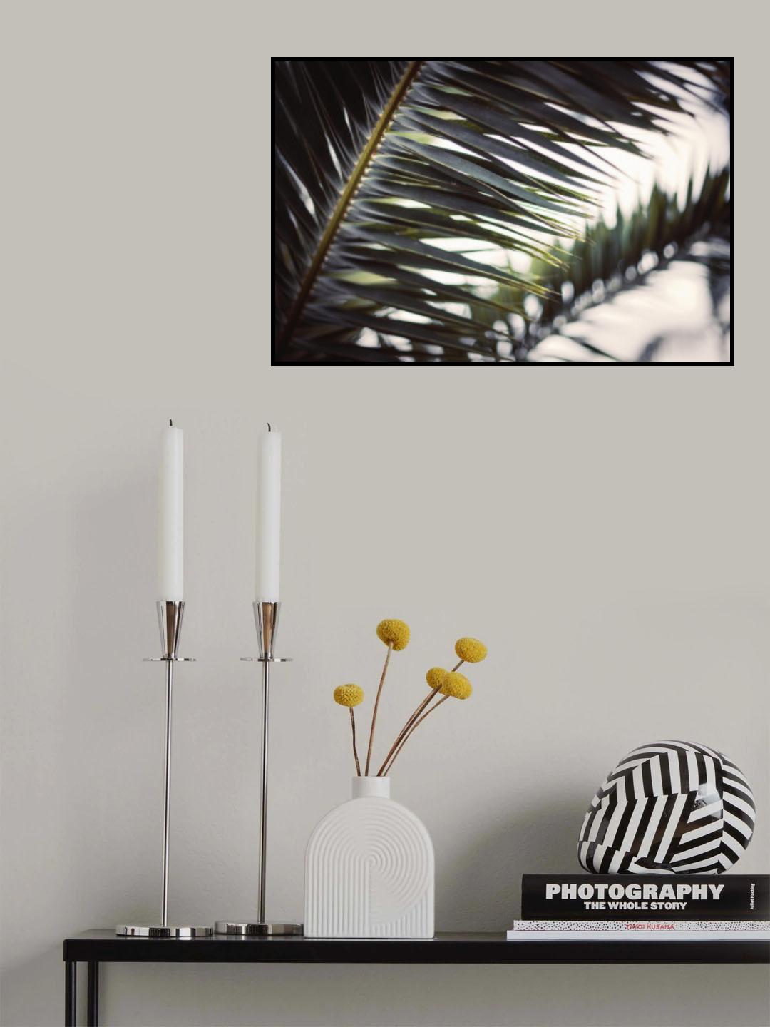 Palm Branches Poster och Canvastavla