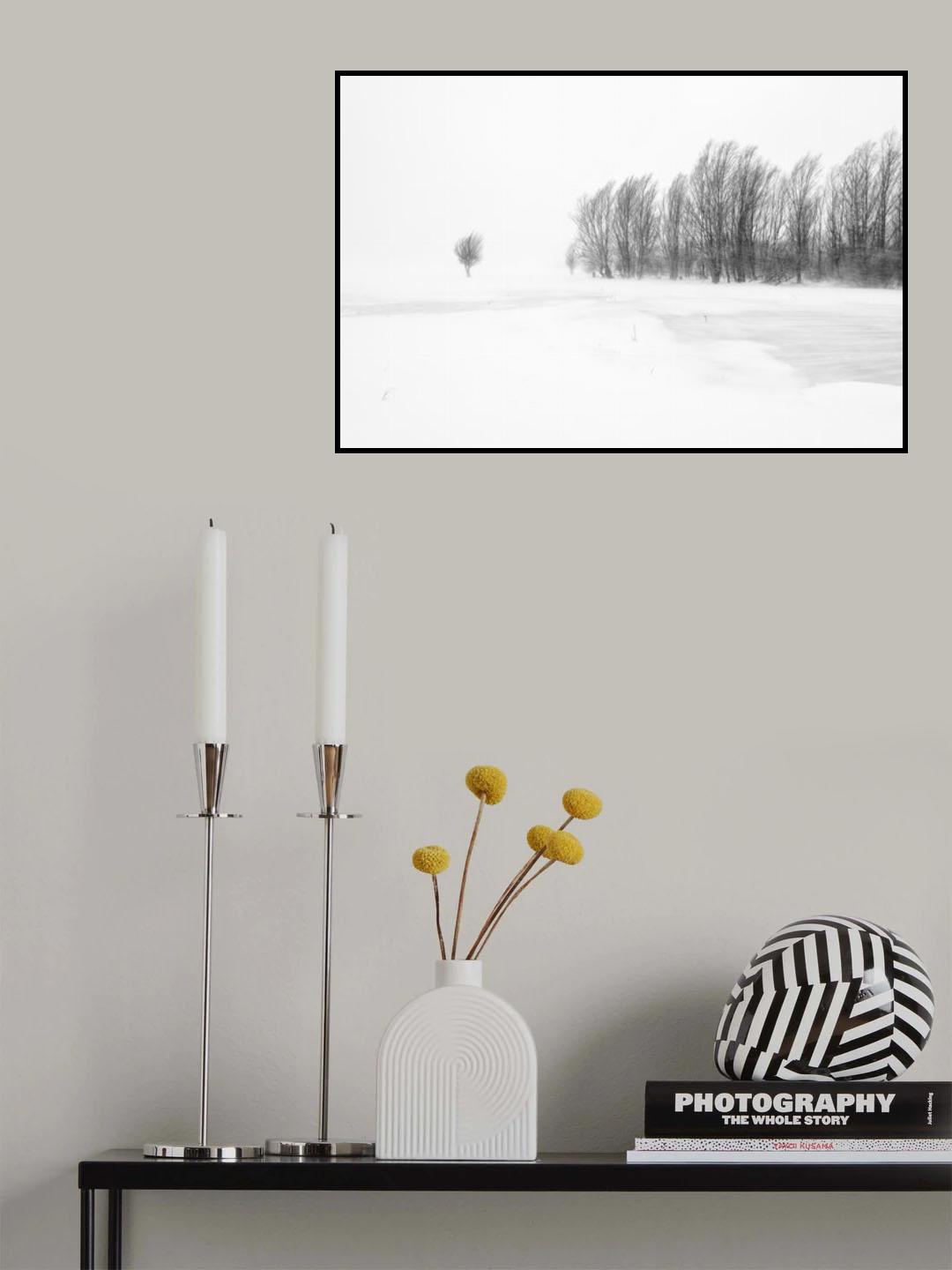 Poster och Canvastavla