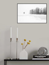 Poster och Canvastavla