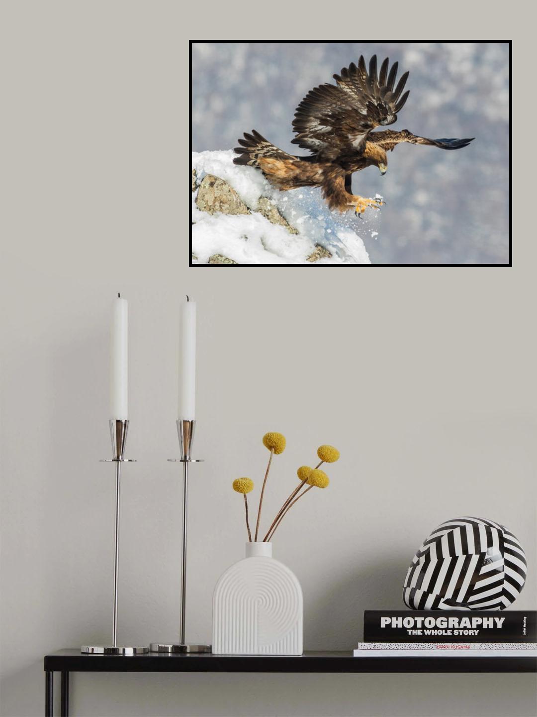 ski jumping Poster och Canvastavla