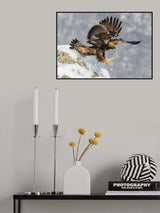 ski jumping Poster och Canvastavla
