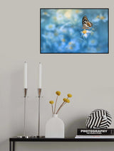 Butterfly on the flower Poster och Canvastavla