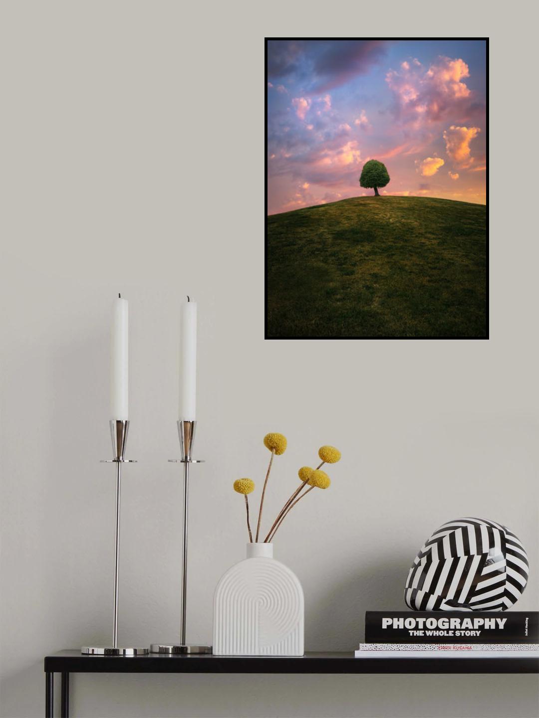 Tree on hill during sunset Poster och Canvastavla