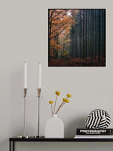 Contrasts Poster och Canvastavla