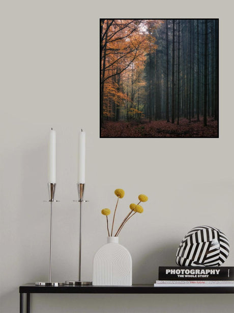 Contrasts Poster och Canvastavla