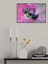 Hang on Poster och Canvastavla