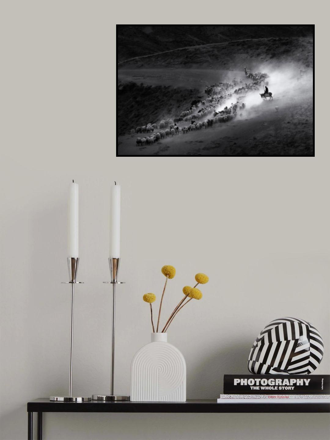 HERD Poster och Canvastavla
