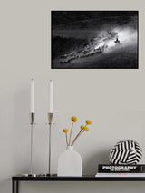 HERD Poster och Canvastavla