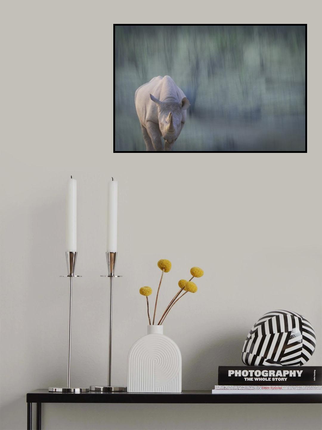 Black rhino Poster och Canvastavla