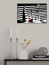 light and shadow Poster och Canvastavla
