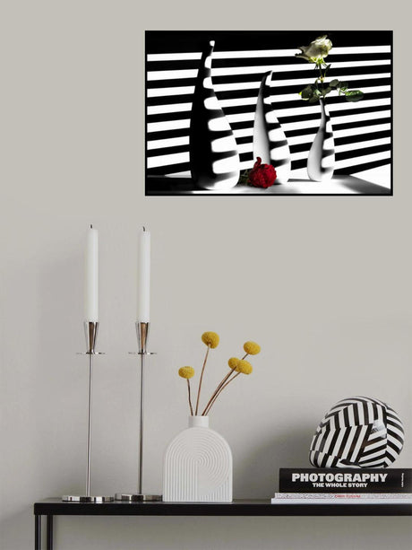 light and shadow Poster och Canvastavla