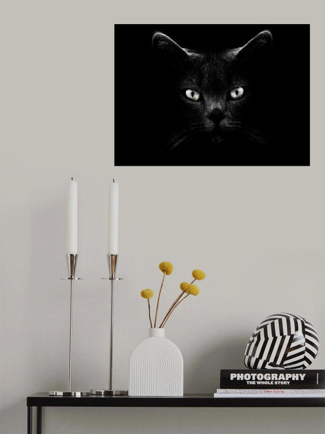 Poster och Canvastavla